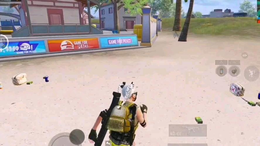 和平精英辅助得类型分为那些